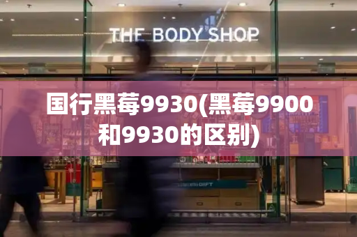 国行黑莓9930(黑莓9900和9930的区别)