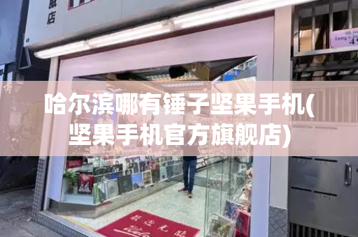 哈尔滨哪有锤子坚果手机(坚果手机官方旗舰店)