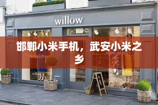 邯郸小米手机，武安小米之乡-第1张图片-星选测评
