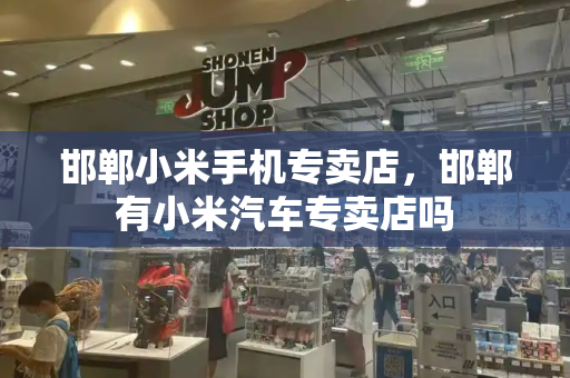 邯郸小米手机专卖店，邯郸有小米汽车专卖店吗-第1张图片-星选测评