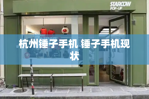 杭州锤子手机 锤子手机现状