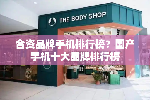 合资品牌手机排行榜？国产手机十大品牌排行榜-第1张图片-星选测评
