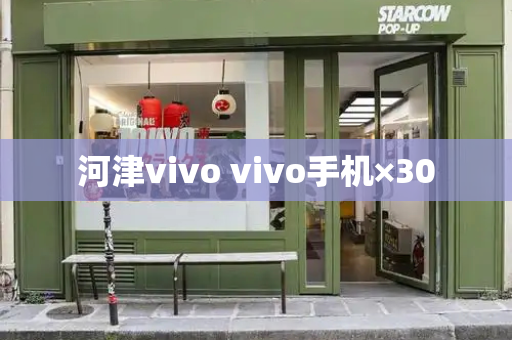 河津vivo vivo手机×30