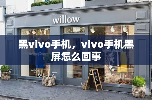 黑vivo手机，vivo手机黑屏怎么回事-第1张图片-星选测评