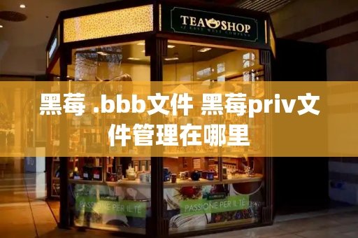 黑莓 .bbb文件 黑莓priv文件管理在哪里