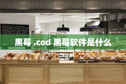 黑莓 .cod 黑莓软件是什么