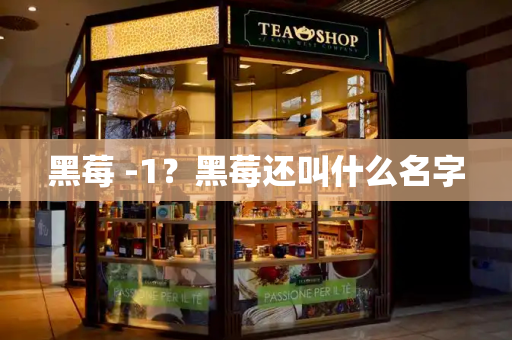 黑莓 -1？黑莓还叫什么名字-第1张图片-星选测评