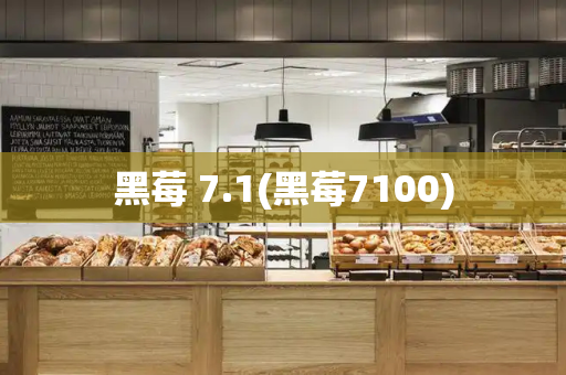 黑莓 7.1(黑莓7100)-第1张图片-星选测评