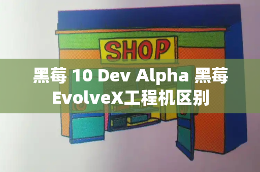 黑莓 10 Dev Alpha 黑莓EvolveX工程机区别