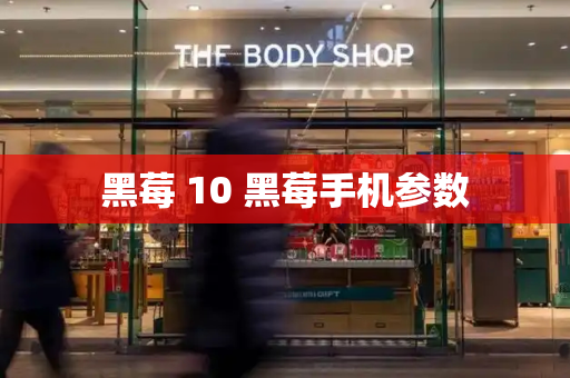 黑莓 10 黑莓手机参数