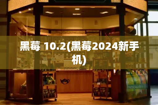 黑莓 10.2(黑莓2024新手机)