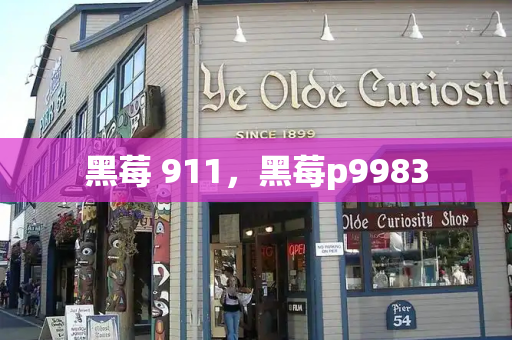 黑莓 911，黑莓p9983-第1张图片-星选测评