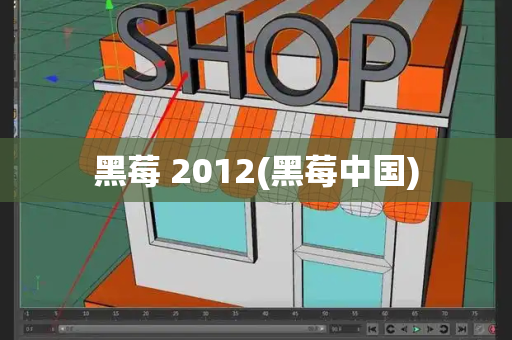 黑莓 2012(黑莓中国)-第1张图片-星选测评