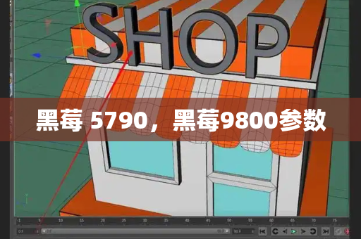 黑莓 5790，黑莓9800参数