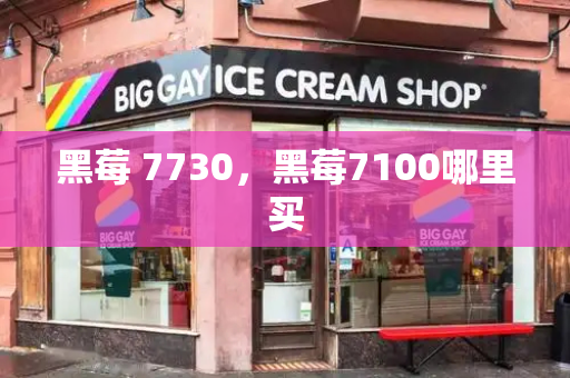 黑莓 7730，黑莓7100哪里买-第1张图片-星选测评