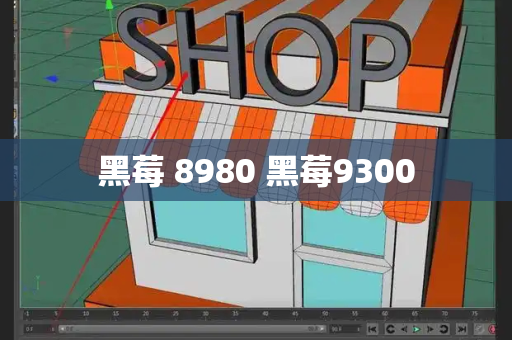 黑莓 8980 黑莓9300