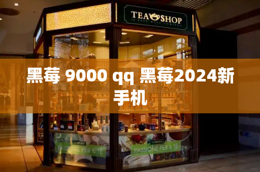 黑莓 9000 qq 黑莓2024新手机