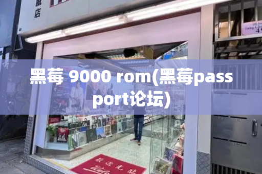 黑莓 9000 rom(黑莓passport论坛)
