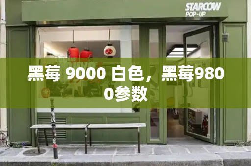 黑莓 9000 白色，黑莓9800参数-第1张图片-星选测评