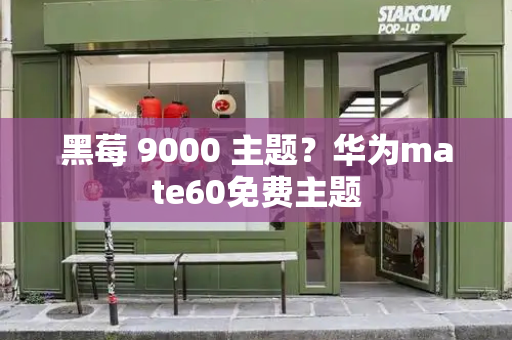 黑莓 9000 主题？华为mate60免费主题