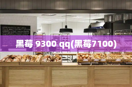 黑莓 9300 qq(黑莓7100)