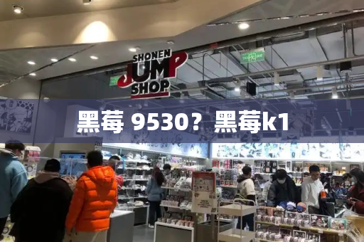 黑莓 9530？黑莓k1