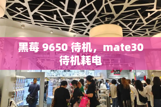 黑莓 9650 待机，mate30待机耗电