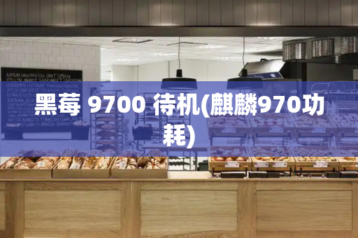 黑莓 9700 待机(麒麟970功耗)-第1张图片-星选测评