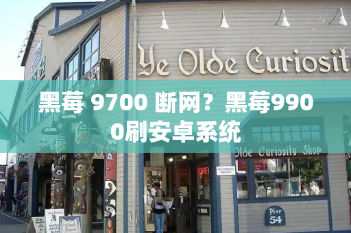 黑莓 9700 断网？黑莓9900刷安卓系统-第1张图片-星选测评