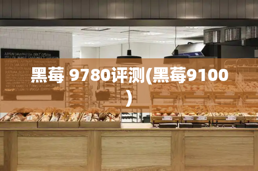 黑莓 9780评测(黑莓9100)