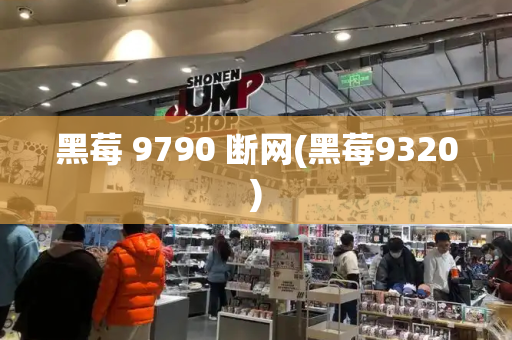 黑莓 9790 断网(黑莓9320)-第1张图片-星选测评