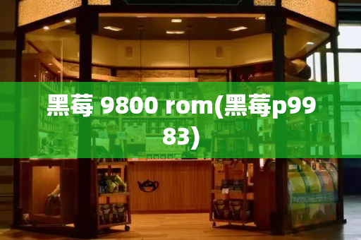 黑莓 9800 rom(黑莓p9983)