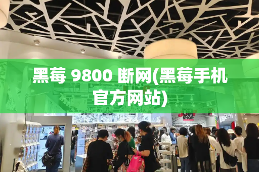 黑莓 9800 断网(黑莓手机官方网站)