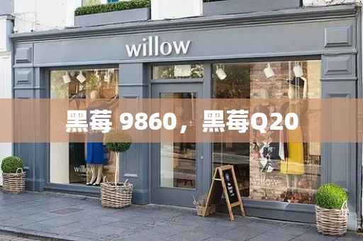 黑莓 9860，黑莓Q20