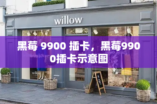 黑莓 9900 插卡，黑莓9900插卡示意图