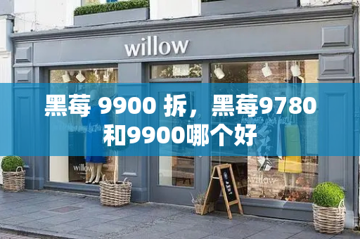 黑莓 9900 拆，黑莓9780和9900哪个好-第1张图片-星选测评