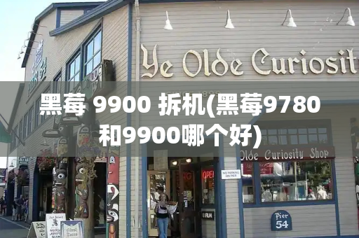 黑莓 9900 拆机(黑莓9780和9900哪个好)-第1张图片-星选测评
