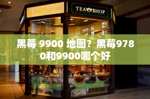 黑莓 9900 地图？黑莓9780和9900哪个好-第1张图片-星选测评