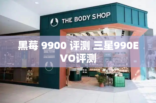 黑莓 9900 评测 三星990EVO评测-第1张图片-星选测评
