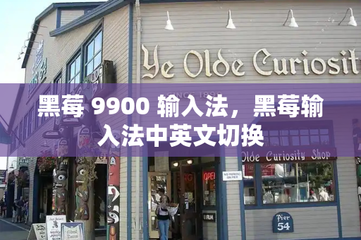 黑莓 9900 输入法，黑莓输入法中英文切换