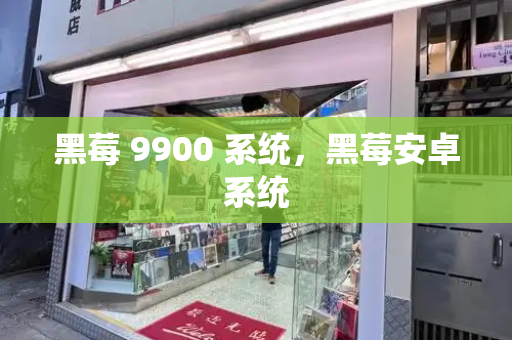 黑莓 9900 系统，黑莓安卓系统