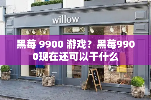 黑莓 9900 游戏？黑莓9900现在还可以干什么