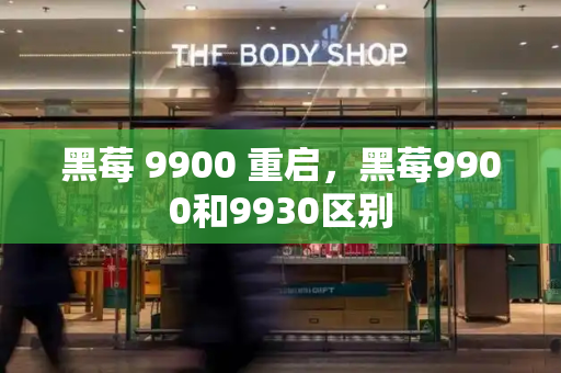 黑莓 9900 重启，黑莓9900和9930区别-第1张图片-星选测评