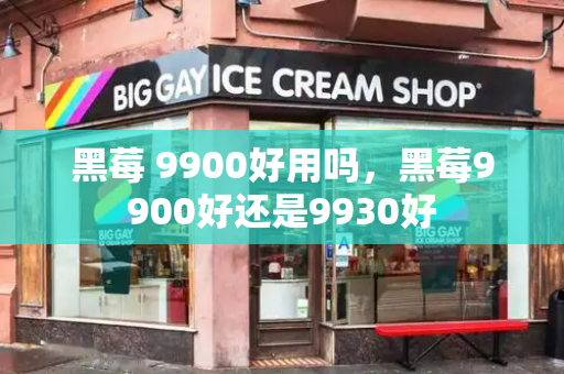 黑莓 9900好用吗，黑莓9900好还是9930好