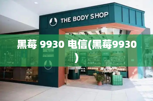 黑莓 9930 电信(黑莓9930)-第1张图片-星选测评
