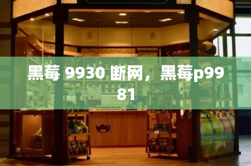 黑莓 9930 断网，黑莓p9981-第1张图片-星选测评