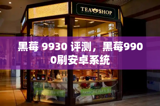黑莓 9930 评测，黑莓9900刷安卓系统
