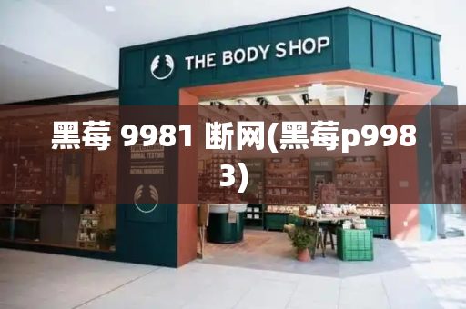 黑莓 9981 断网(黑莓p9983)