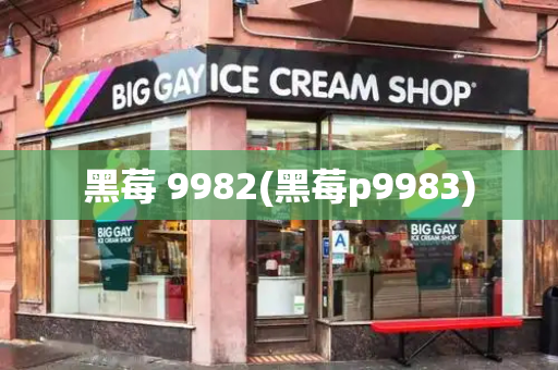 黑莓 9982(黑莓p9983)