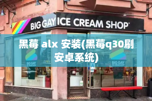 黑莓 alx 安装(黑莓q30刷安卓系统)